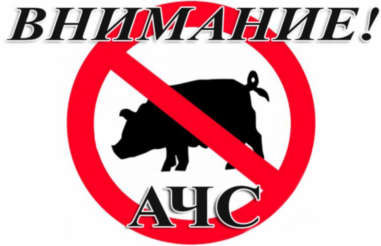 УГРОЗА АЧС. УГРОЗА АЧС.