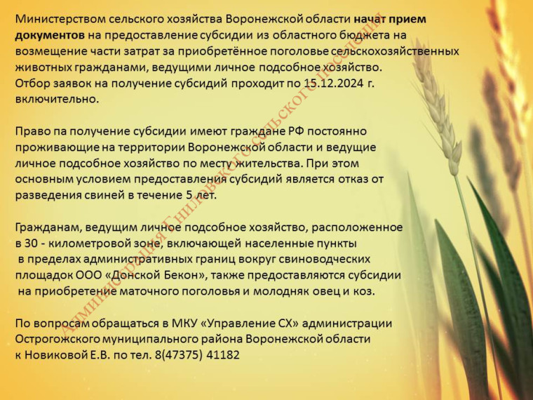 Министерство сельского хозяйства Воронежской области информирует. Министерство сельского хозяйства Воронежской области информирует.